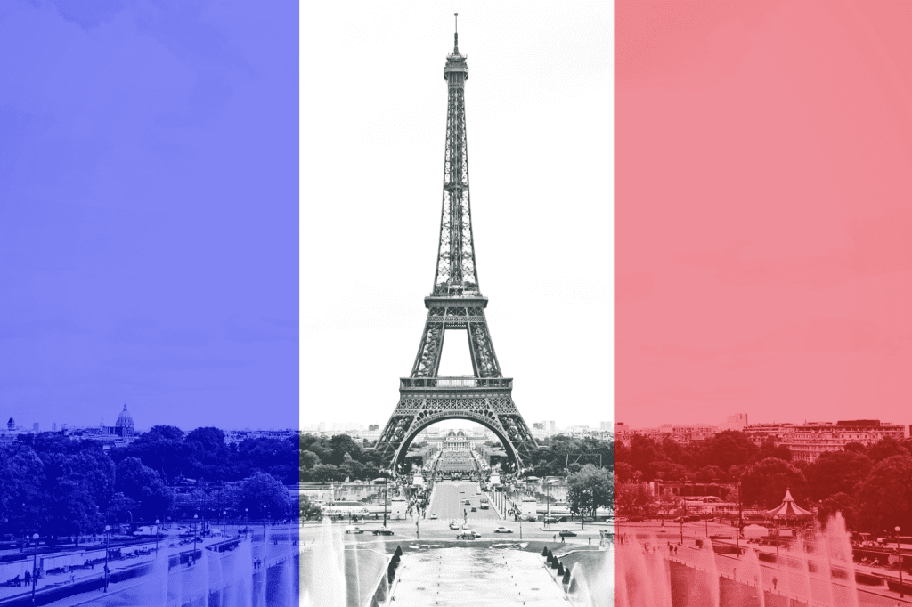 Projet d'immigration en France