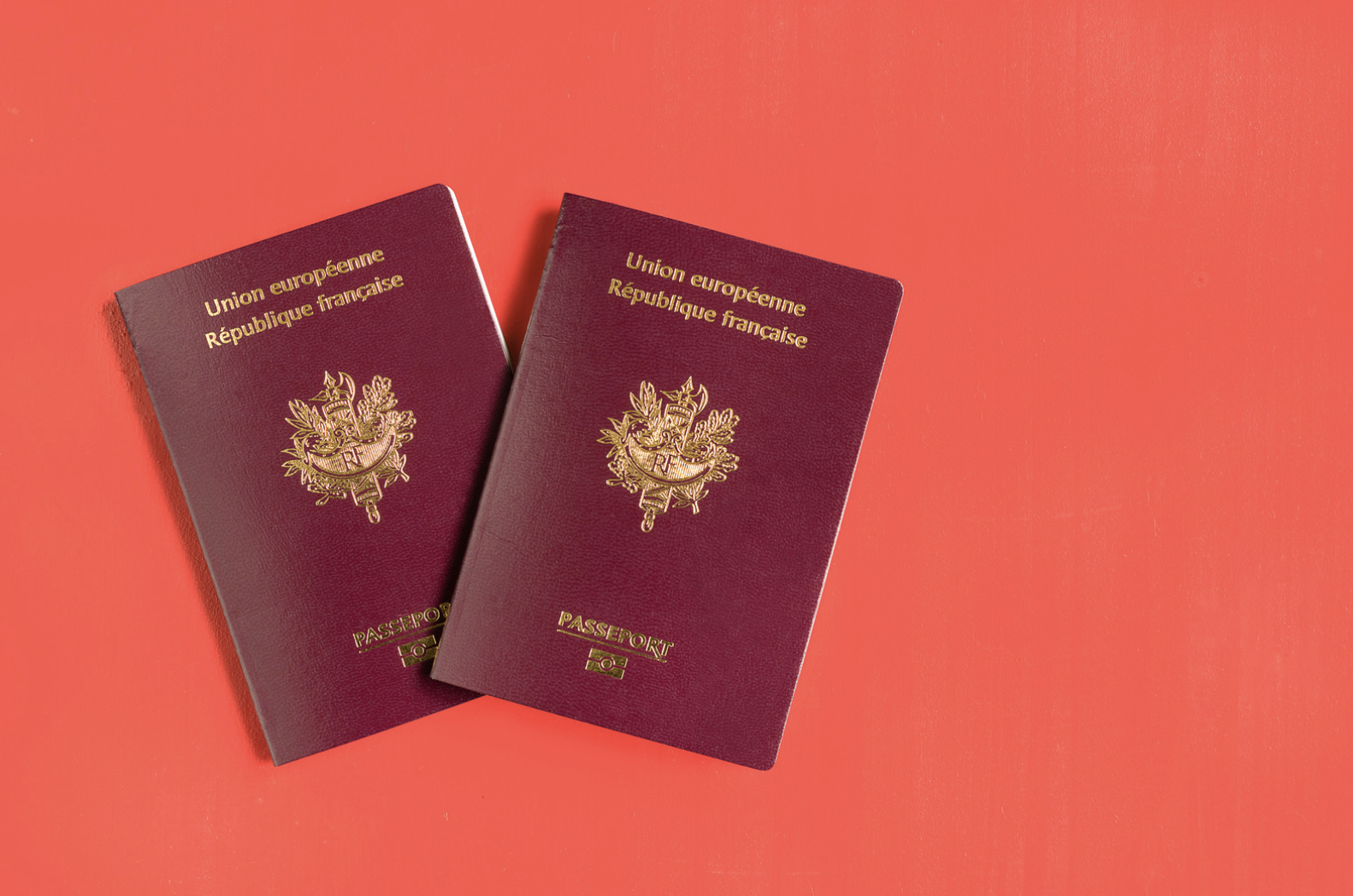 Intégration en France