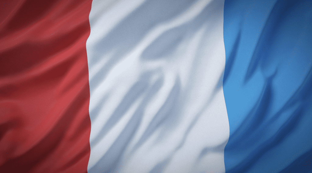 Immigration réussie en France