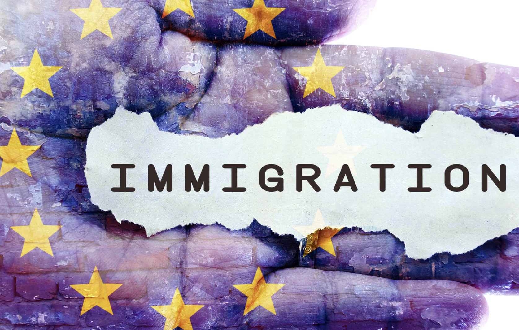 Impact de l'immigration en France